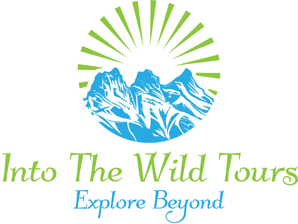 Into The Wild Tours